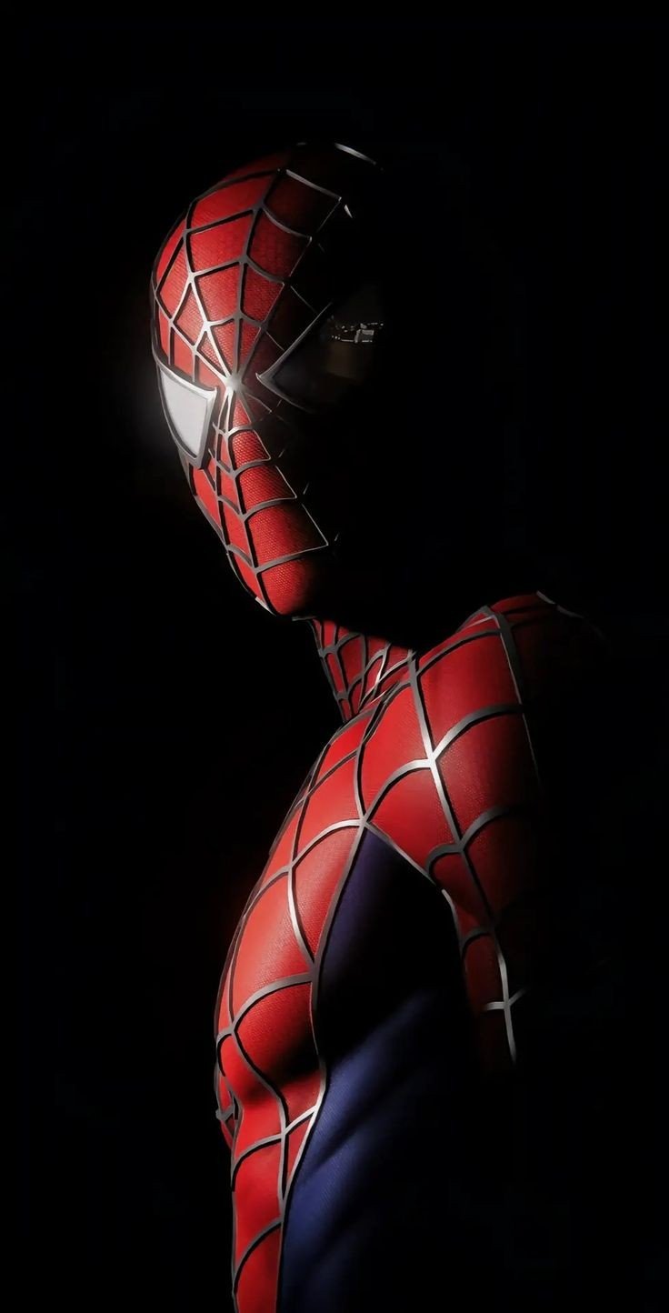 Spiderman wallpaper 17