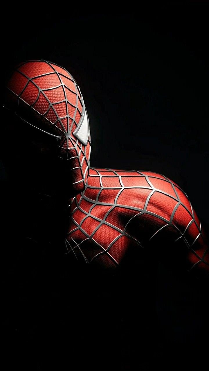 Spiderman wallpaper 21