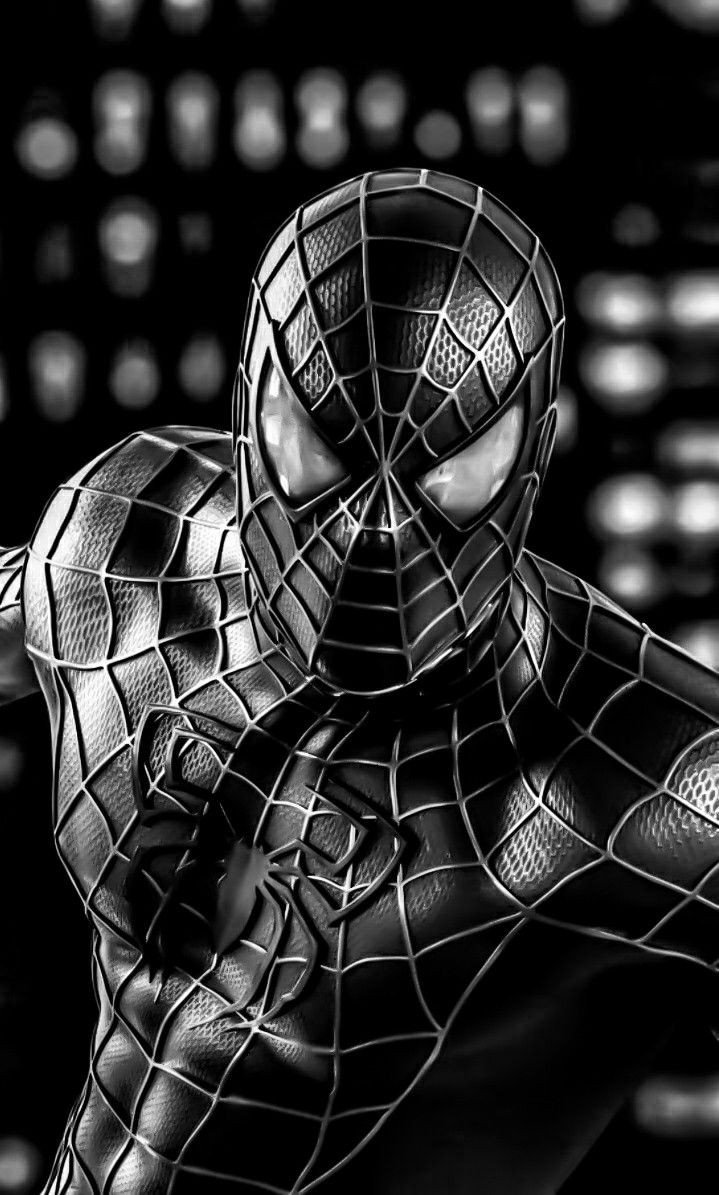 Spiderman wallpaper 23