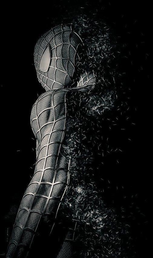 Spiderman wallpaper 27