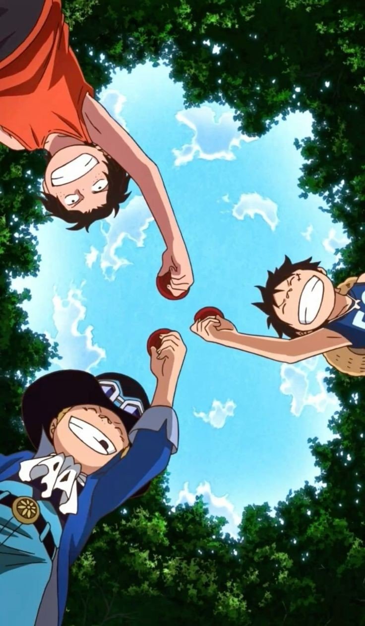 one piece wallpaper5